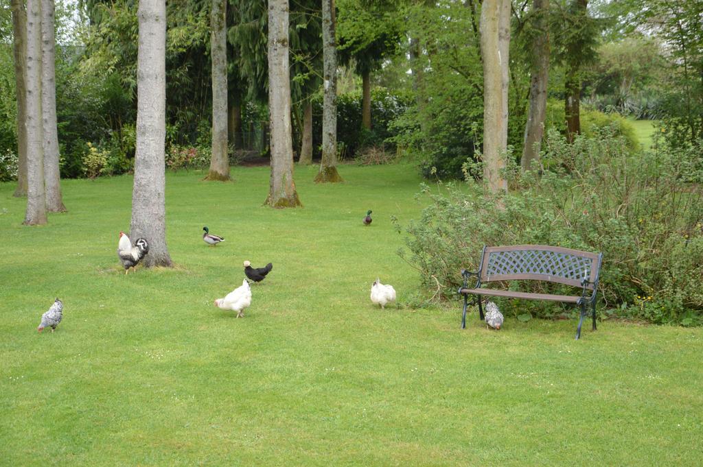 La Grange Des Marettes Bed & Breakfast Cleres ภายนอก รูปภาพ