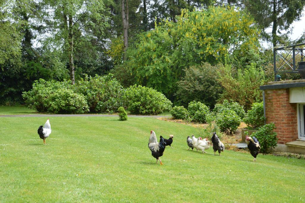 La Grange Des Marettes Bed & Breakfast Cleres ภายนอก รูปภาพ